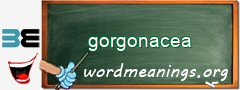 WordMeaning blackboard for gorgonacea